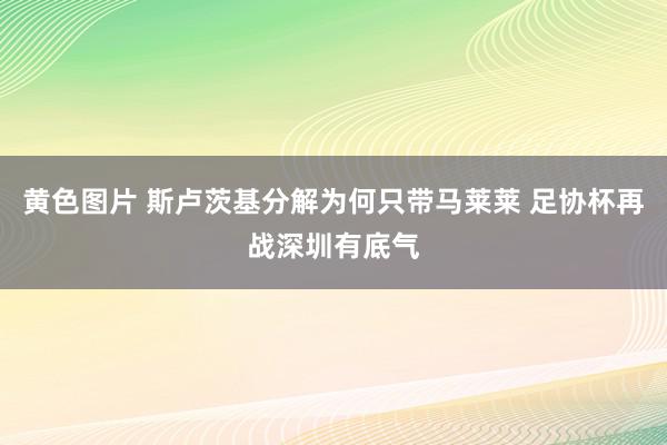 黄色图片 斯卢茨基分解为何只带马莱莱 足协杯再战深圳有底气