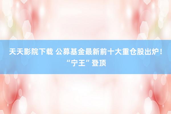 天天影院下载 公募基金最新前十大重仓股出炉！“宁王”登顶