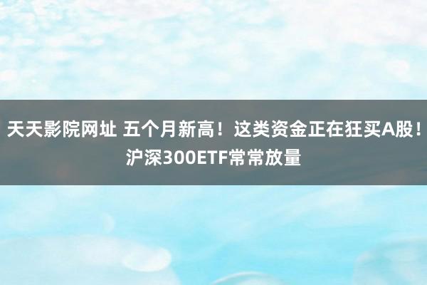 天天影院网址 五个月新高！这类资金正在狂买A股！沪深300ETF常常放量