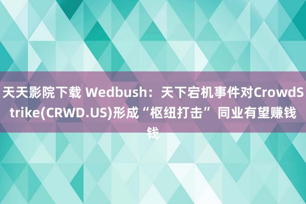 天天影院下载 Wedbush：天下宕机事件对CrowdStrike(CRWD.US)形成“枢纽打击” 同业有望赚钱