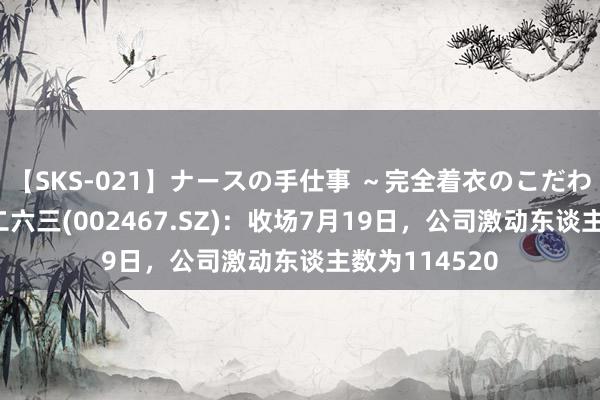 【SKS-021】ナースの手仕事 ～完全着衣のこだわり手コキ～ 二六三(002467.SZ)：收场7月19日，公司激动东谈主数为114520