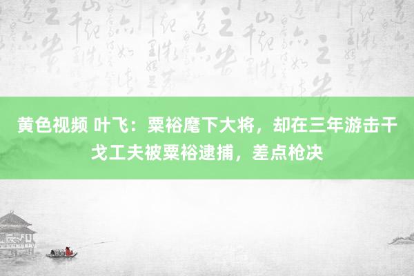 黄色视频 叶飞：粟裕麾下大将，却在三年游击干戈工夫被粟裕逮捕，差点枪决