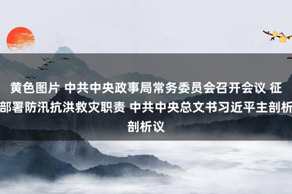 黄色图片 中共中央政事局常务委员会召开会议 征询部署防汛抗洪救灾职责 中共中央总文书习近平主剖析议