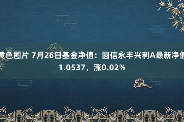 黄色图片 7月26日基金净值：圆信永丰兴利A最新净值1.0537，涨0.02%