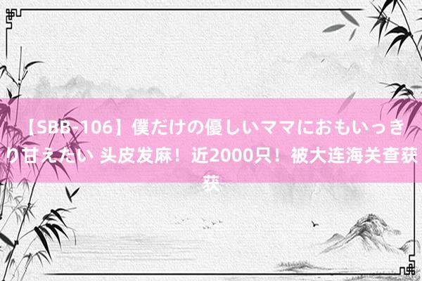 【SBB-106】僕だけの優しいママにおもいっきり甘えたい 头皮发麻！近2000只！被大连海关查获