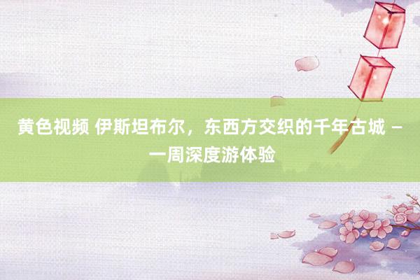 黄色视频 伊斯坦布尔，东西方交织的千年古城 — 一周深度游体验