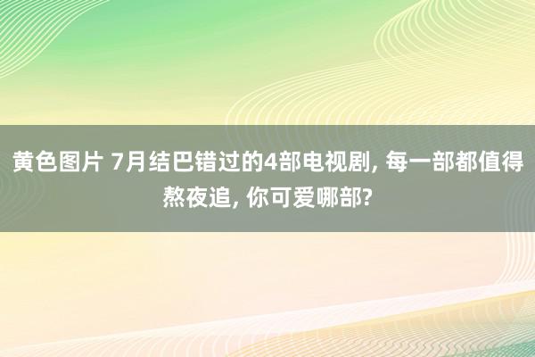 黄色图片 7月结巴错过的4部电视剧, 每一部都值得熬夜追, 你可爱哪部?