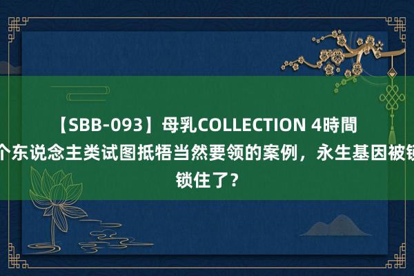 【SBB-093】母乳COLLECTION 4時間 清点2个东说念主类试图抵牾当然要领的案例，永生基因被锁住了？