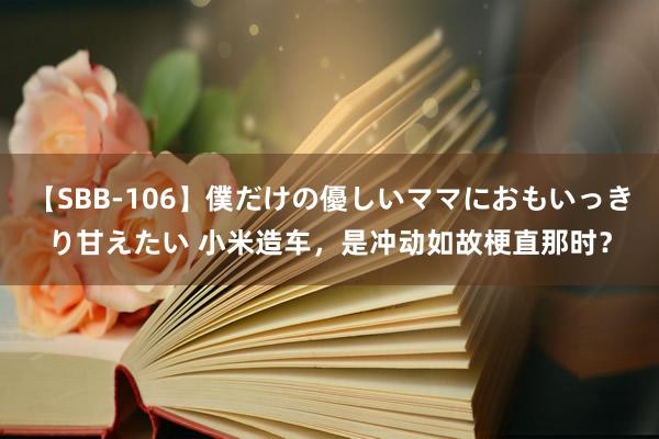 【SBB-106】僕だけの優しいママにおもいっきり甘えたい 小米造车，是冲动如故梗直那时？