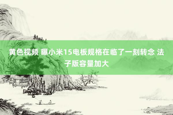 黄色视频 曝小米15电板规格在临了一刻转念 法子版容量加大