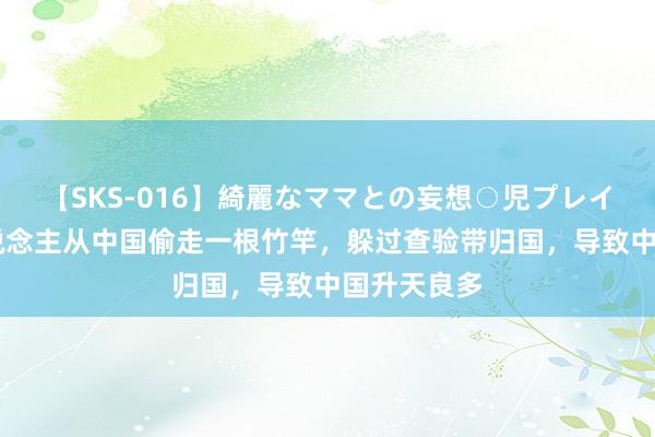 【SKS-016】綺麗なママとの妄想○児プレイ 古罗马东说念主从中国偷走一根竹竿，躲过查验带归国，导致中国升天良多