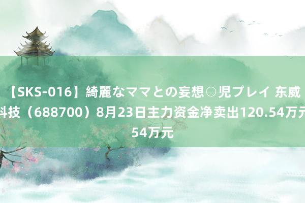 【SKS-016】綺麗なママとの妄想○児プレイ 东威科技（688700）8月23日主力资金净卖出120.54万元