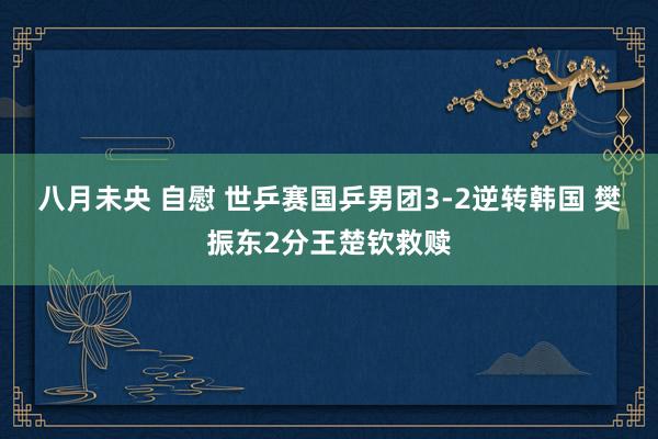 八月未央 自慰 世乒赛国乒男团3-2逆转韩国 樊振东2分王楚钦救赎