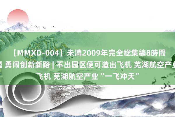 【MMXD-004】未満2009年完全総集編8時間 难忘殷殷派遣 勇闯创新新路 | 不出园区便可造出飞机 芜湖航空产业“一飞冲天”