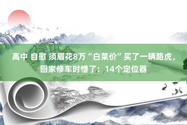 高中 自慰 须眉花8万“白菜价”买了一辆路虎，回家修车时懵了：14个定位器